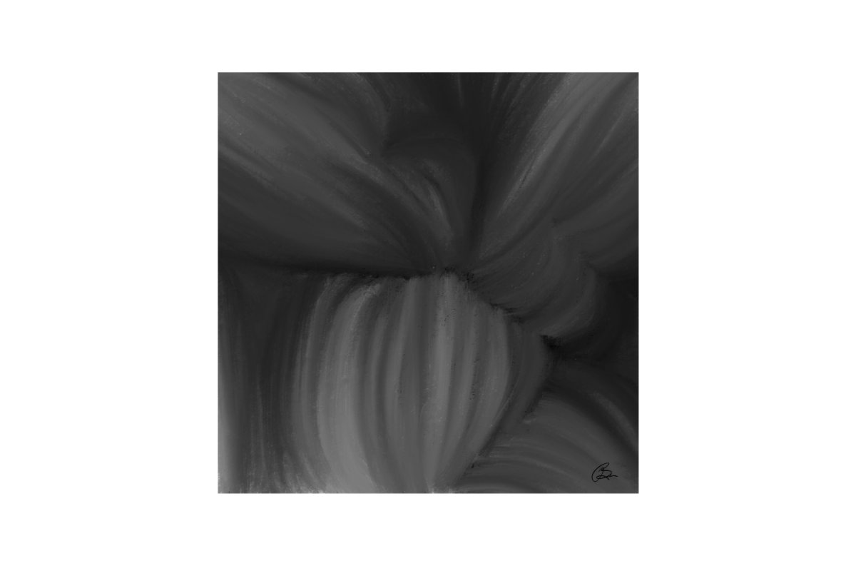 Echoes Beyond the Shadow